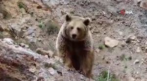 Bursa'nın dağ köyleri kar altına kaldı