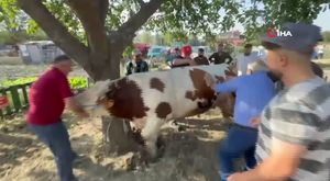 Bursa’da atık giysi dolabı hırsızlığı kamerada!