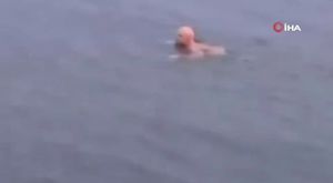 Bursa semalarında binlerce ak pelikanın göç yolculuğu