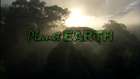 ► Planet Earth_ Amazing nature scenery (1080p HD)