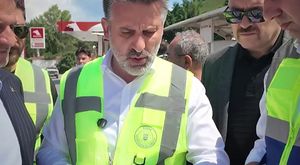 Bursa'da eşek dehşeti!