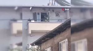 Bursa siyahı zirai dondan etkilenmedi