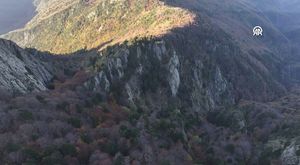Bursa'da cadde ortasında beyzbol sopalı kavga!