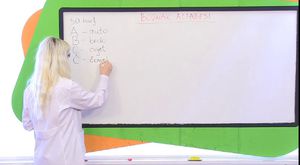 Boşnakça Alfabe Örnekleri