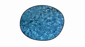 Thanksgiving Turkey Dinner Frodown: Freezerburns