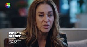 81 ilde düzensiz göç operasyonu: 783 göçmen ve 169 organizatör yakalandı