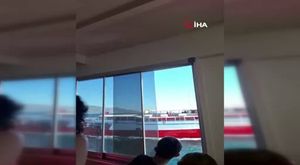 Gemlik Körfezi'nde yunuslardan görsel şölen