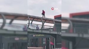 Bursa Ovası zehirleniyor! Kapkara akan dereyle sulama yapılıyor...