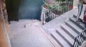 Bursa'da kediyi kurtarmak isterken düştüğü derede mahsur kaldı