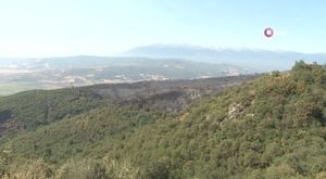 Caddede atıyla dörtnala