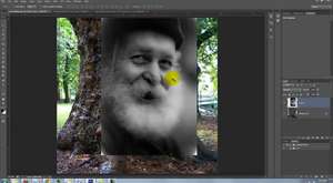 Photoshop, Ağaca Yüz Yapmak
