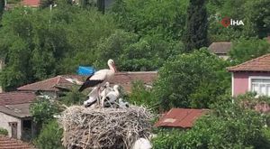Bursa'da motosikletle ölümüne yarış...