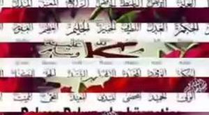 Çimlendirmenin en kolay yöntemi - Maydanoz Çimlendirme videomuz- Garden -Basit Maydanoz Ekimi 