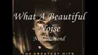 Neil Diamond - What a beautiful noise 