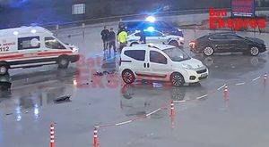 EDİRNE'DE YABAN MERSİNİ YETİŞTİRİYOR