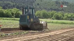 Fenix Uçuş Okulu Sorumlu Müdürü Altunbaş'dan Bursa'daki kaza hakkında açıklama!