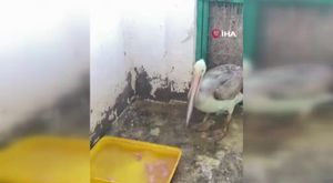 Bursa'da jeneratör bomba gibi patladı