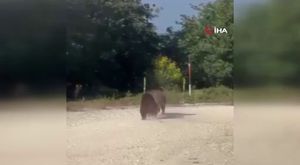 Darp ettikleri genci kameraya alıp, o anları sosyal medyada yayınlayan şüpheliler tutuklandı