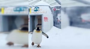 Bursa'da kaza sonrası sürücüler birbirine girdi