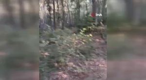 Bursa'da dereye uçan araçtan yara almadan kurtuldular!