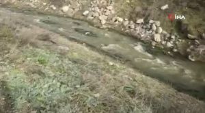 Golf sahasına düşen yıldırım ağacı parçalara ayırdı