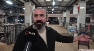 Aracını tamir ediyor sanıldı, ölü bulunduv