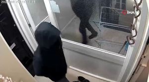 Hasan Âli Yücel’e Osmangazi vefası