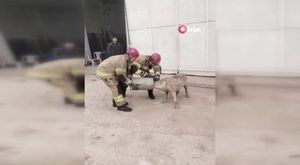 Bursa'da alacak verecek kavgası kanlı bitti! Polis memuru ailesini katletti…