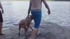 Göle atlayan sahibini ağlayarak kurtaran köpek