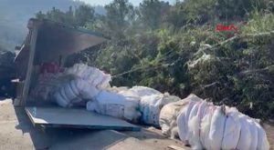 Bursa'da yürek burkan görüntü! Çöpü karıştıran kadın...