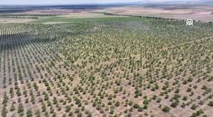 Antalya'da 3. kattan düşen adam feci şekilde hayatını kaybetti