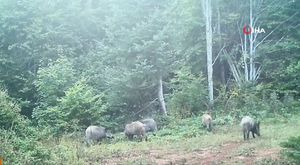 Karadeniz olması gerekenden sıcak