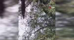 Bursa’da korkutan fabrika yangını