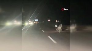 Adana dahil 27 ilde düzenlenen siber suç operasyonlarında 237 şüpheli yakalandı, 118'i tutuklandı