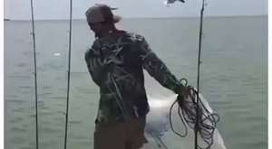 dalgıçların yanına gelen 4 mt lik dev köpek balığı
