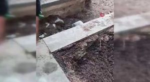 Bolu'da korkutan deprem! Bursa'dan da hissedildi...