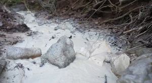 Bursa'da 'Hüdavendigâr Osmangazi Camii' dualarla ibadete açıldı