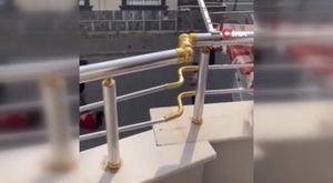 Adana'da Sevgililer Günü için çiçekçilerde yoğun mesai başladı