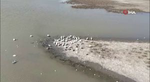 Malatya’da 140’ın üzerinde bina çöktü! Çok sayıda ölü var