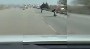 Bursa'da köpeğini bulup getirene büyük ödül verecek