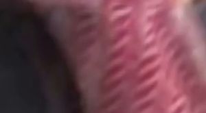 Bursa'da hafif ticari araç şarampole devrildi: Çok sayıda yaralı var