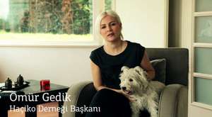 Emir Berke Zincidi - Gürkan Uygun - 2013