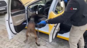 Öğretmenleri taşıyan 2 servis minibüsü çarpıştı: 28 yaralı!