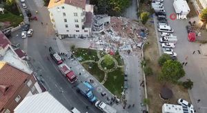 Bursa'da ayıları görmek isteyen vatandaşlardan tehlikeli hareketler