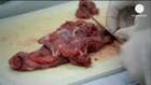 AB'de dana ürünlerinin yüzde 5'inde at eti çıktı
