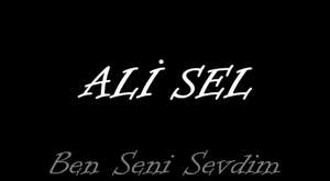 Ali SEL  -  Sessizce Sev  (Şiir)