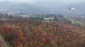 Bursa'da jeneratör bomba gibi patladı