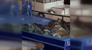 Naci Görür: İstanbul'da 7.6 büyüklüğünde deprem olacak