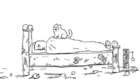 Cat Man Do - Simon`s Cat 