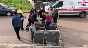 Bursa'da başıboş at trafikte tehlike saçtı